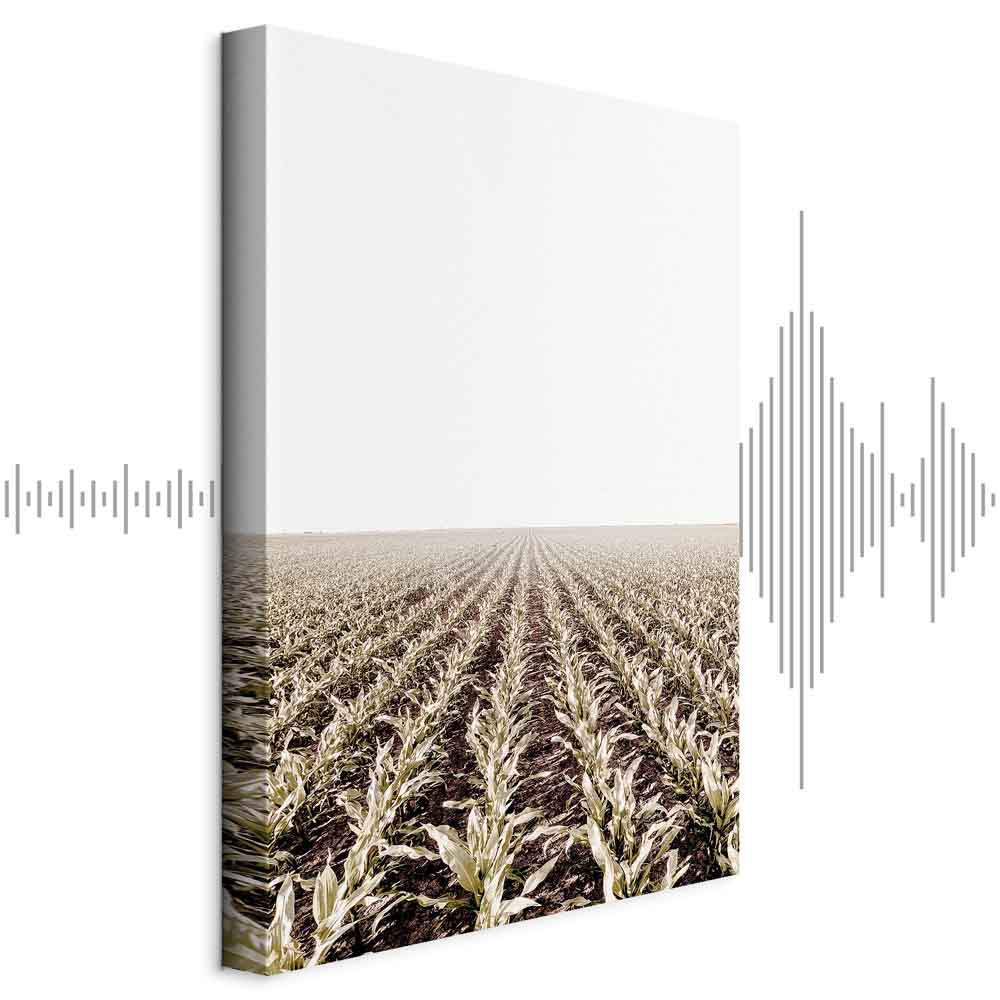 Corn Field Landscape Vertical Canvas Print