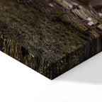 Windmill Sky Landscape Canvas Print