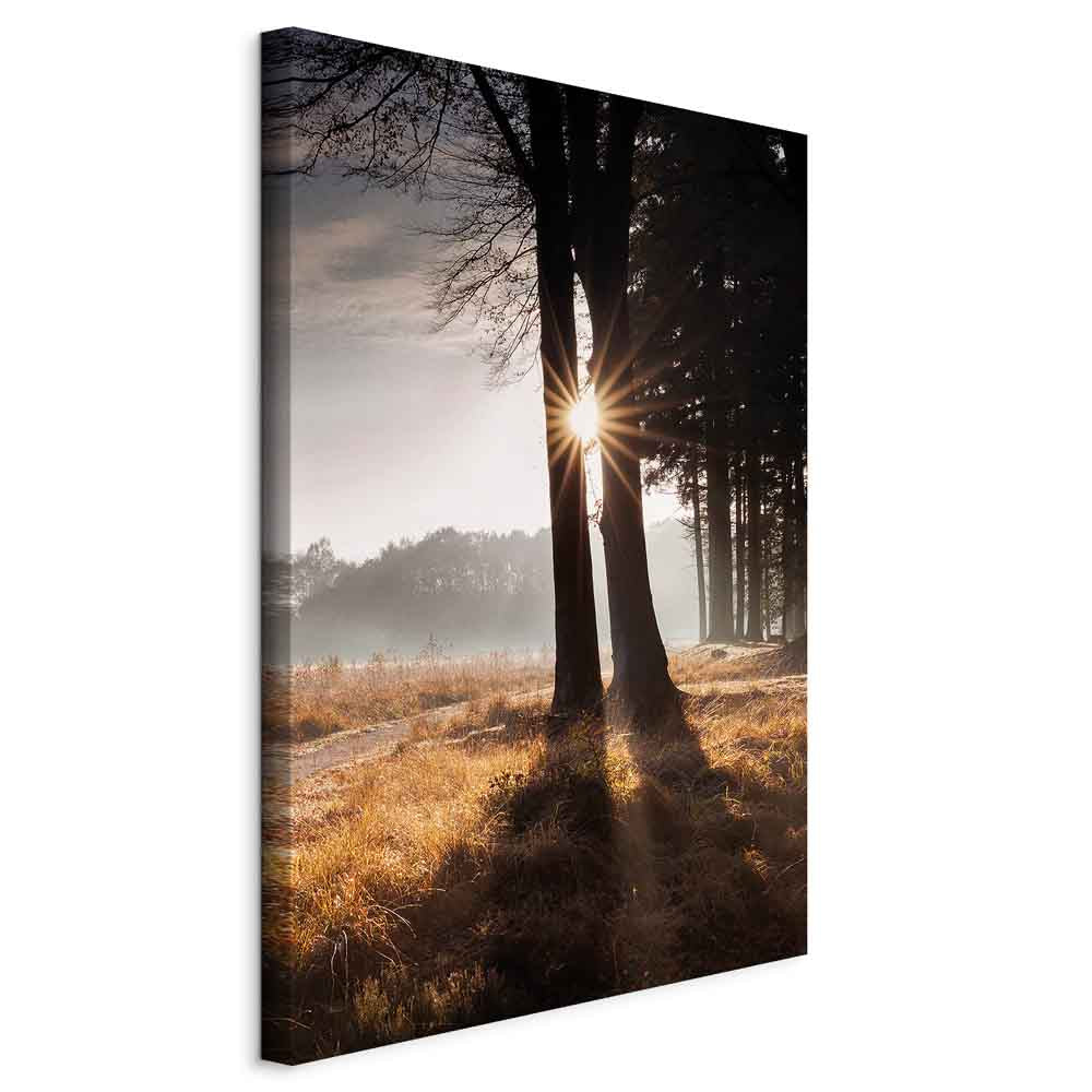 Sunlit Forest Trees Vertical Canvas Print