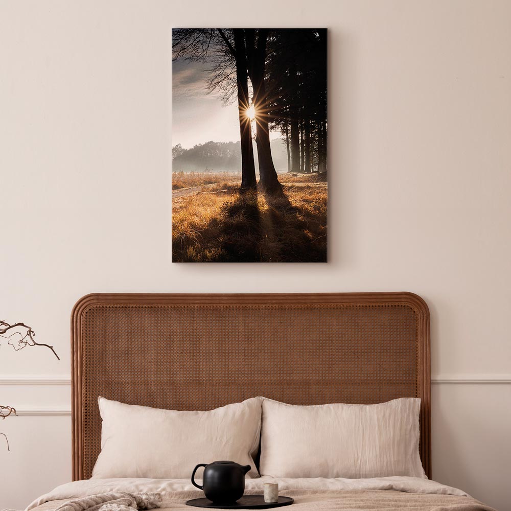 Sunlit Forest Trees Vertical Canvas Print