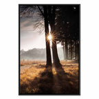 Sunlit Forest Trees Vertical Canvas Print