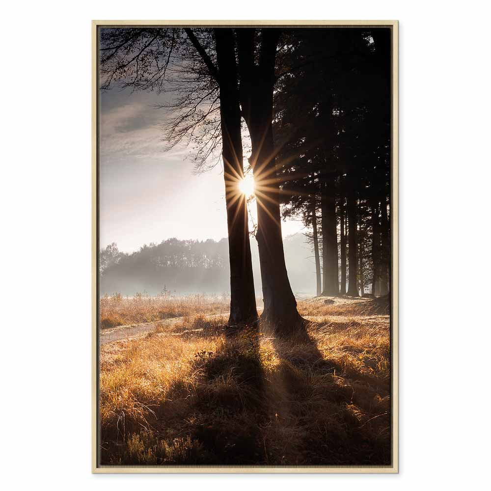 Sunlit Forest Trees Vertical Canvas Print