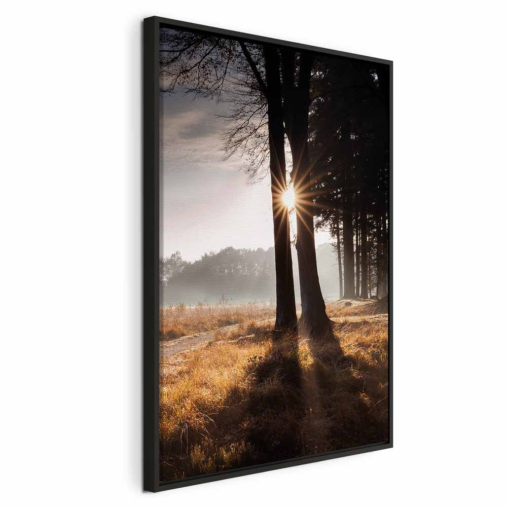 Sunlit Forest Trees Vertical Canvas Print