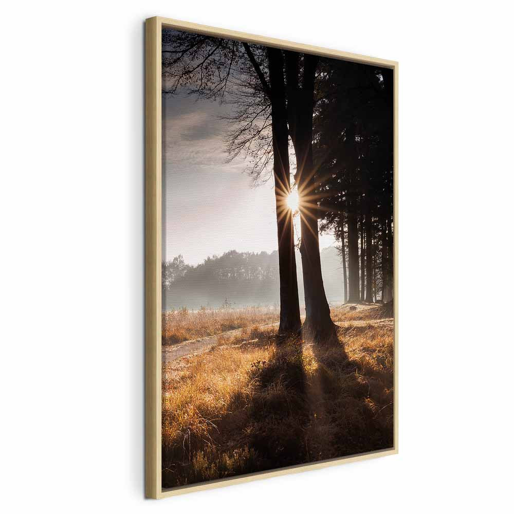 Sunlit Forest Trees Vertical Canvas Print