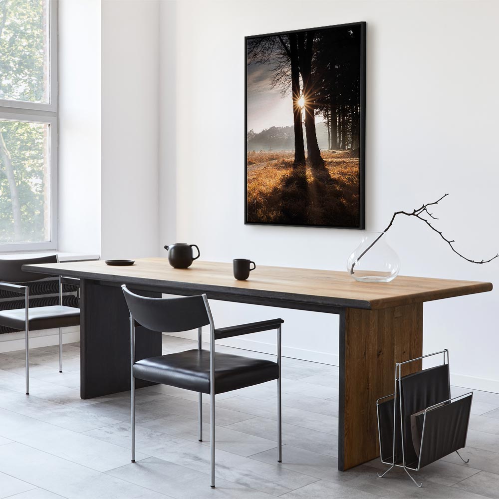 Sunlit Forest Trees Vertical Canvas Print