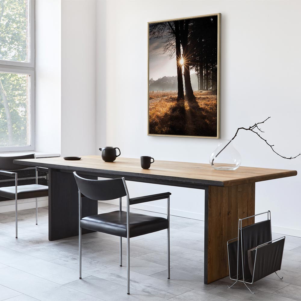 Sunlit Forest Trees Vertical Canvas Print