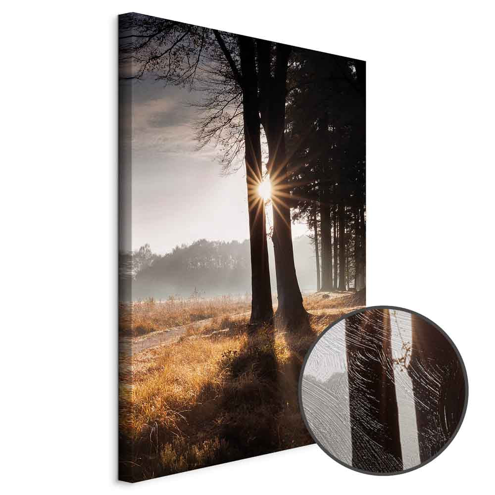 Sunlit Forest Trees Vertical Canvas Print
