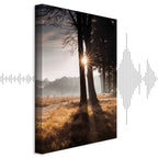 Sunlit Forest Trees Vertical Canvas Print