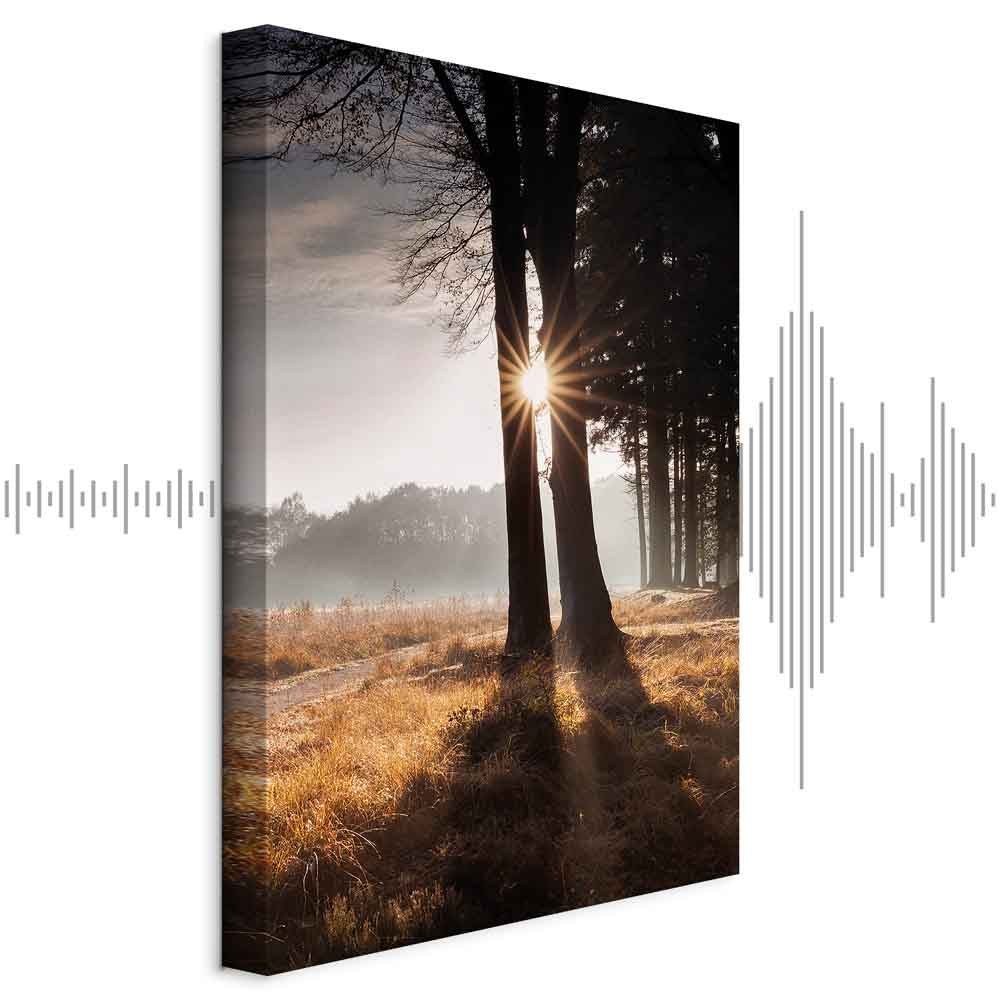 Sunlit Forest Trees Vertical Canvas Print