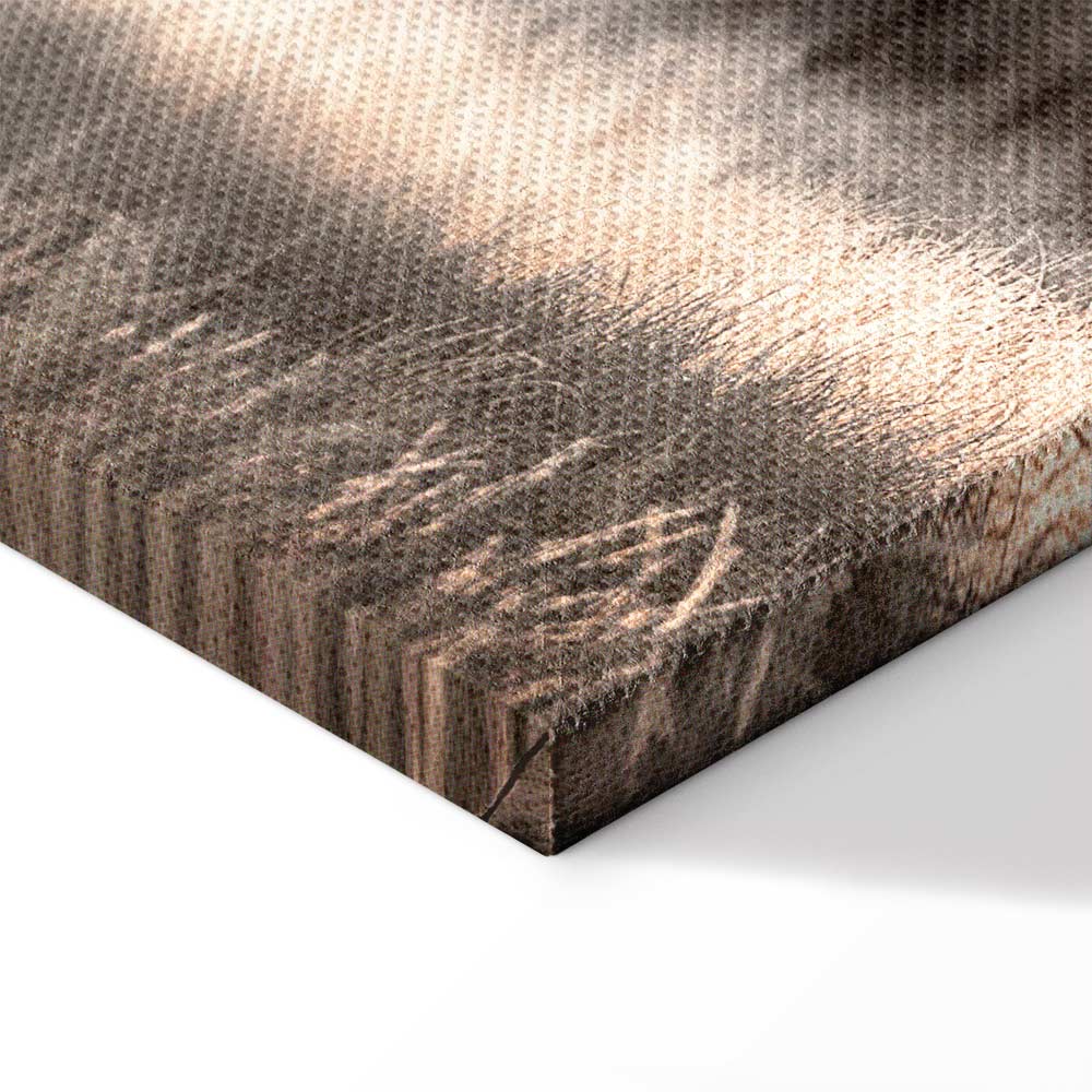 Winter Forest Trees Landscape Canvas Print