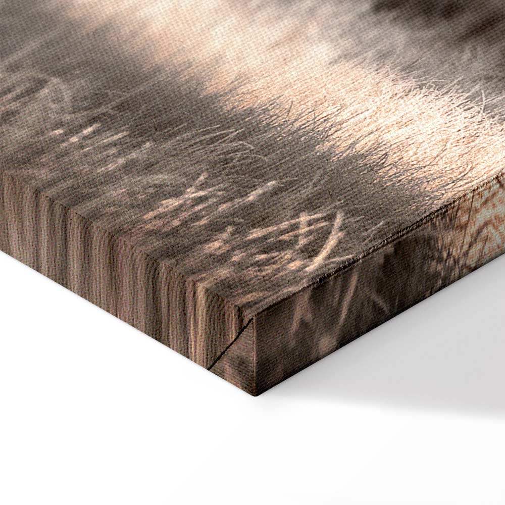 Winter Forest Trees Landscape Canvas Print