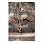 Winter Forest Trees Landscape Canvas Print
