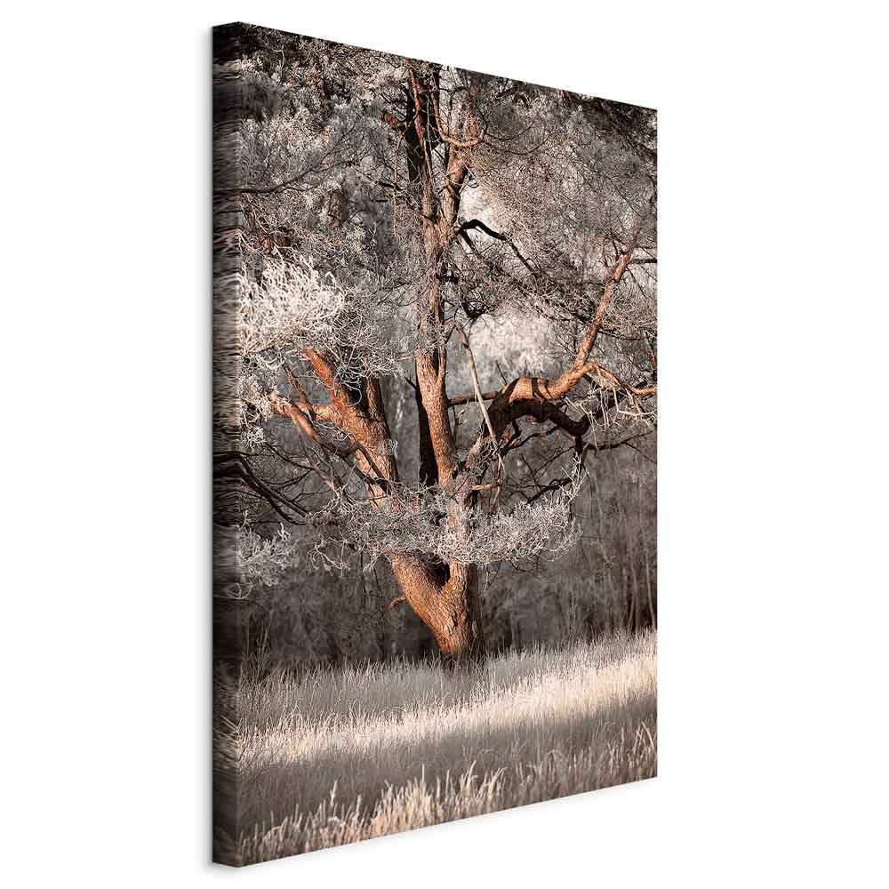 Winter Forest Trees Landscape Canvas Print