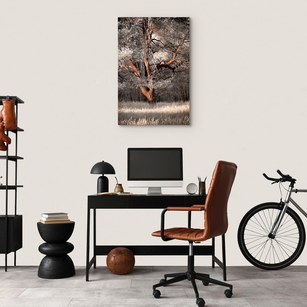 Winter Forest Trees Landscape Canvas Print