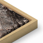 Winter Forest Trees Landscape Canvas Print