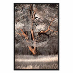 Winter Forest Trees Landscape Canvas Print