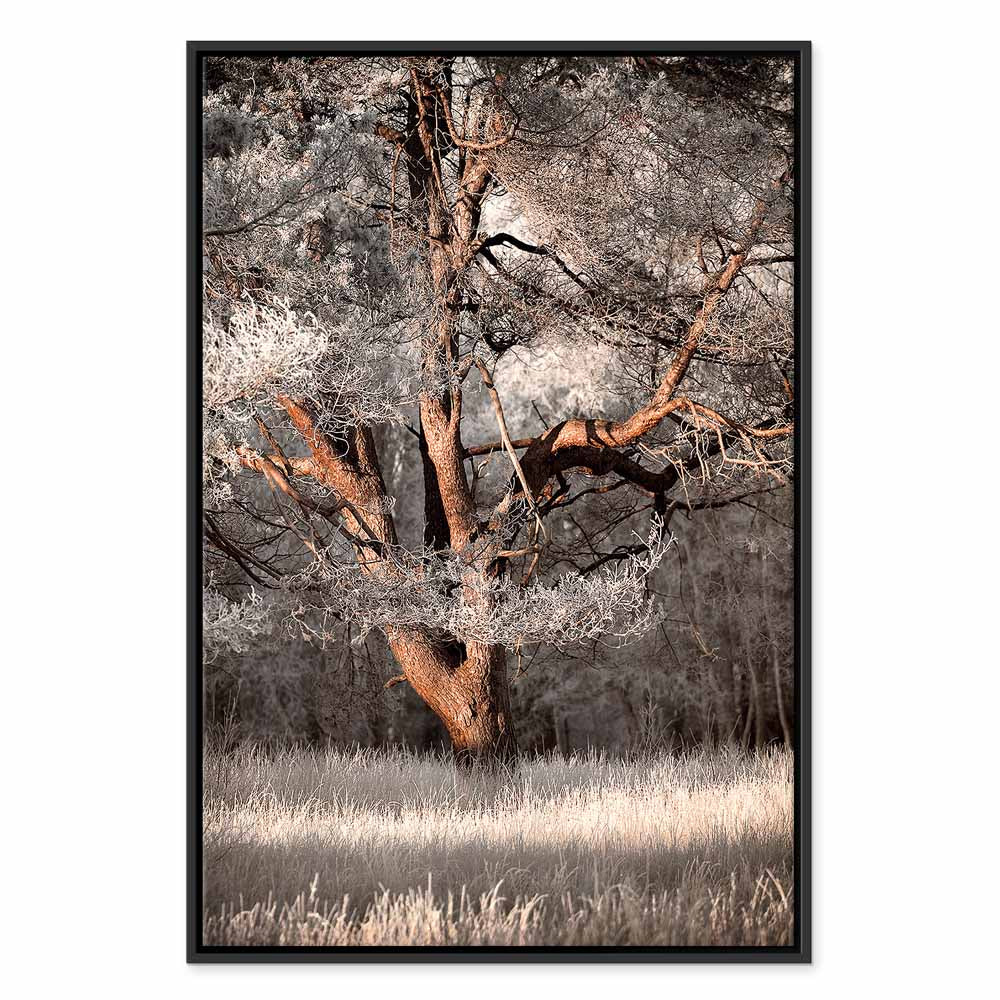 Winter Forest Trees Landscape Canvas Print