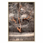 Winter Forest Trees Landscape Canvas Print
