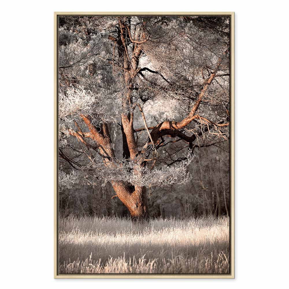 Winter Forest Trees Landscape Canvas Print
