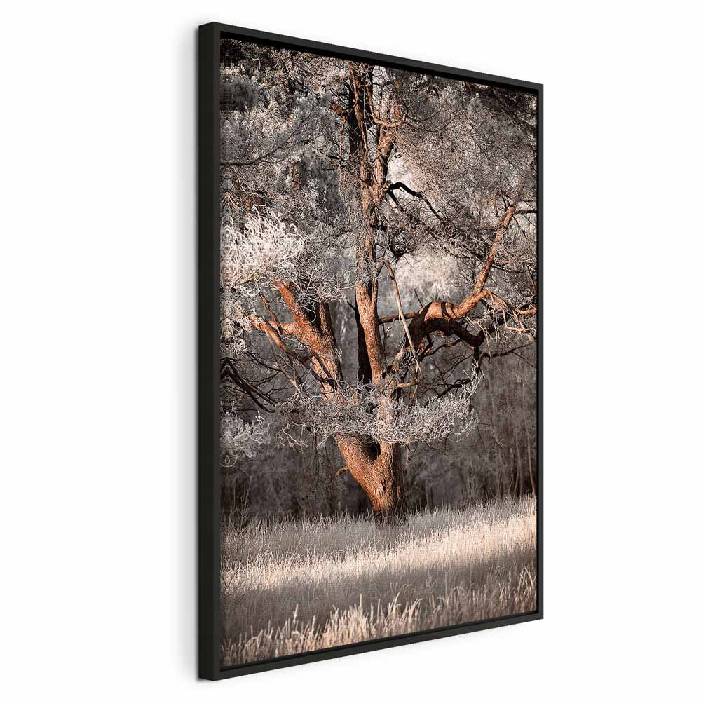 Winter Forest Trees Landscape Canvas Print