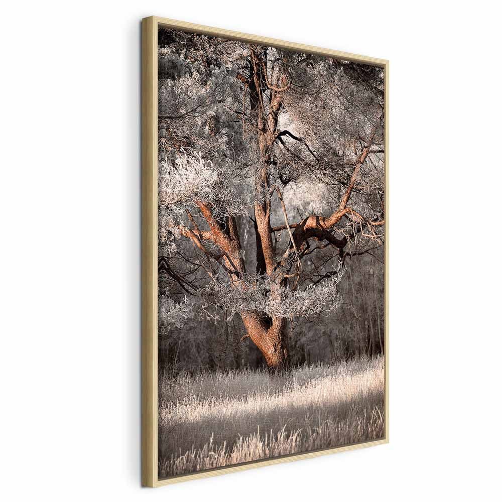 Winter Forest Trees Landscape Canvas Print