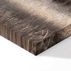 Winter Forest Trees Landscape Canvas Print