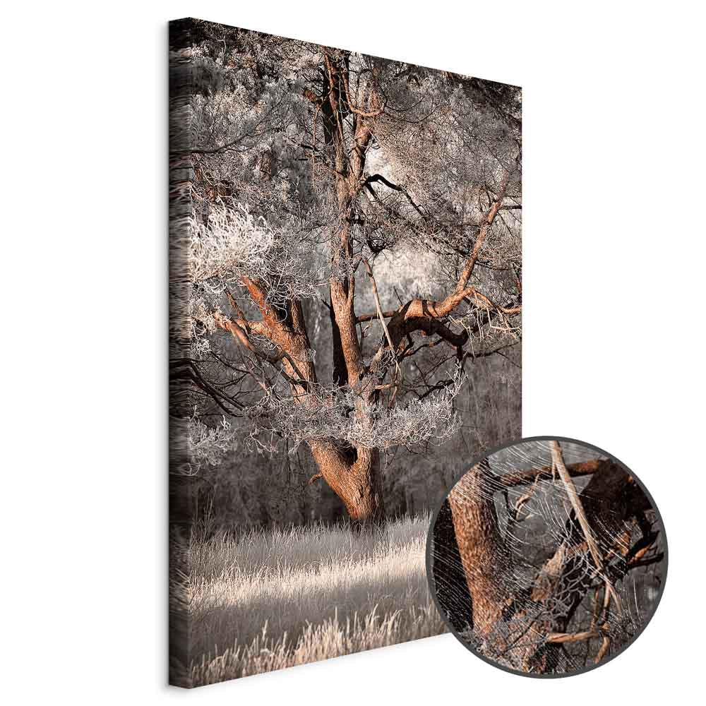 Winter Forest Trees Landscape Canvas Print