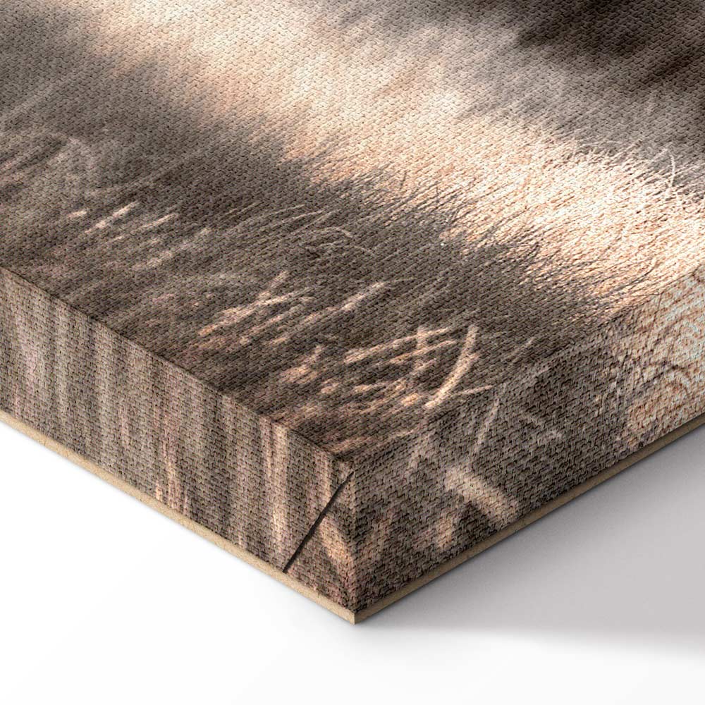 Winter Forest Trees Landscape Canvas Print