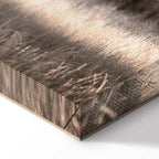 Winter Forest Trees Landscape Canvas Print