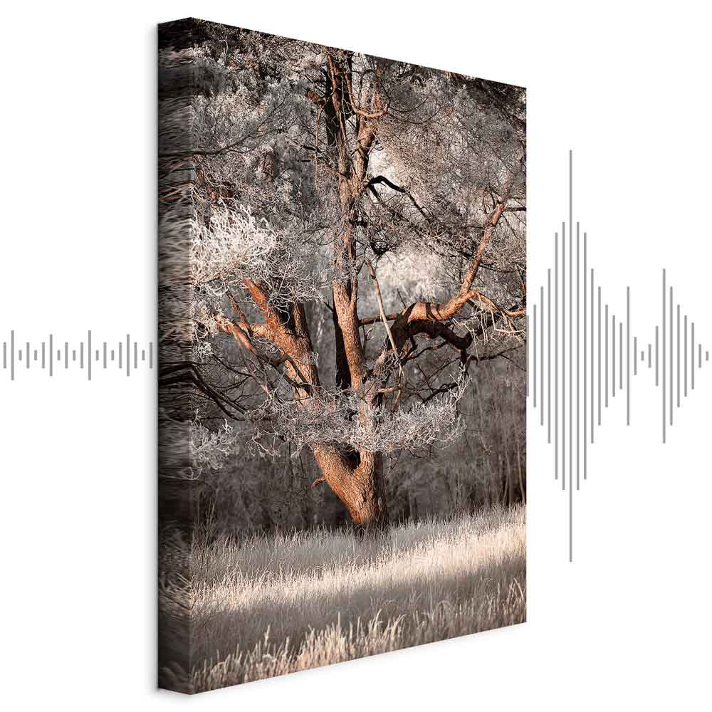 Winter Forest Trees Landscape Canvas Print