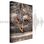 Winter Forest Trees Landscape Canvas Print