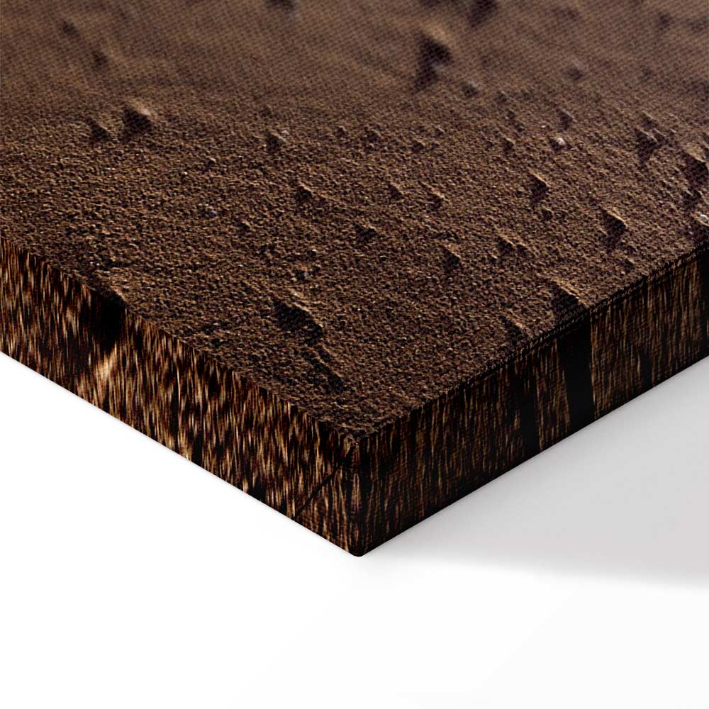 Beach Path Sky Sea Landscape Canvas Print