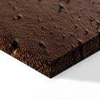 Beach Path Sky Sea Landscape Canvas Print