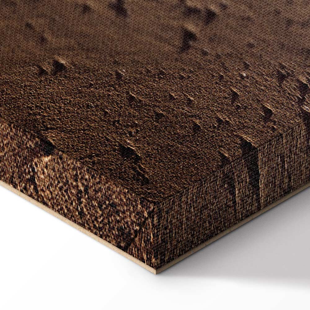 Beach Path Sky Sea Landscape Canvas Print