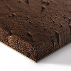 Beach Path Sky Sea Landscape Canvas Print