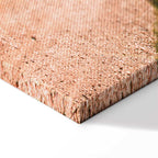 Italian Cypress Trees Landscape Canvas Print