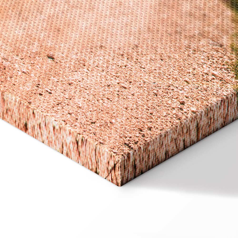 Italian Cypress Trees Landscape Canvas Print