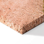 Italian Cypress Trees Landscape Canvas Print