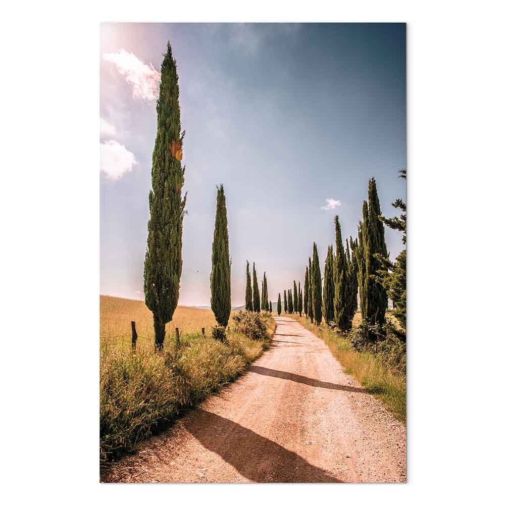 Italian Cypress Trees Landscape Canvas Print