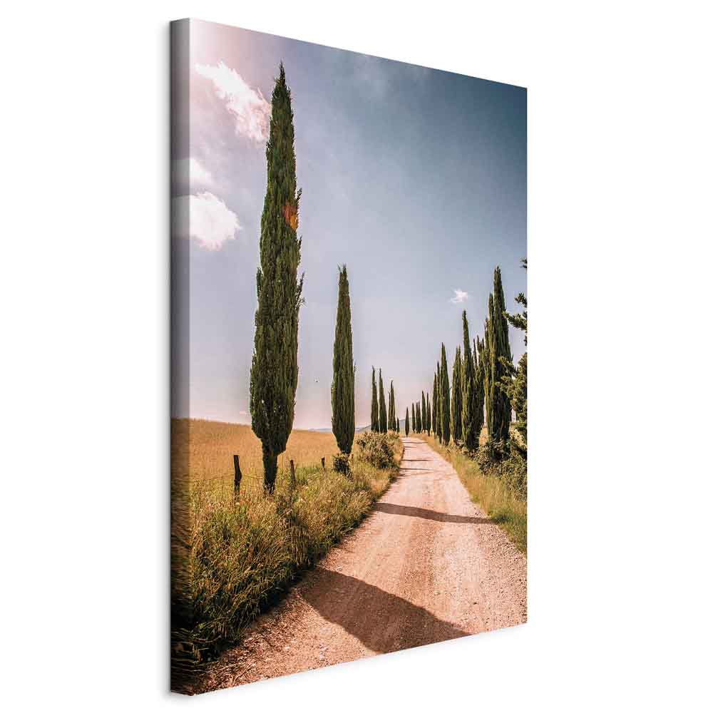 Italian Cypress Trees Landscape Canvas Print