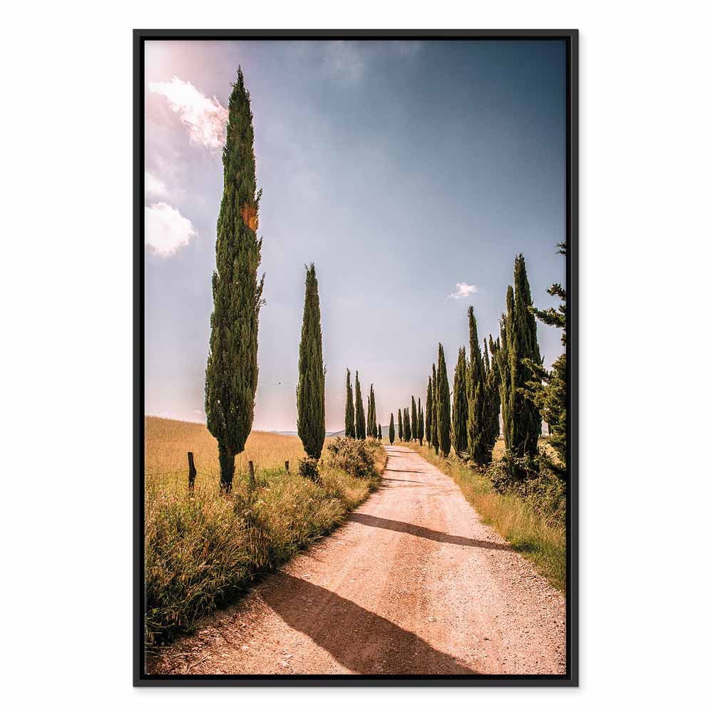 Italian Cypress Trees Landscape Canvas Print
