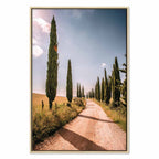 Italian Cypress Trees Landscape Canvas Print