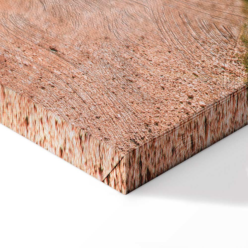 Italian Cypress Trees Landscape Canvas Print