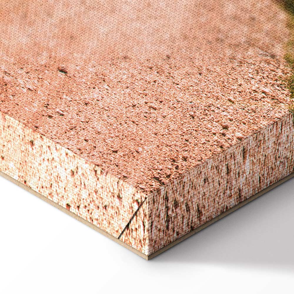 Italian Cypress Trees Landscape Canvas Print