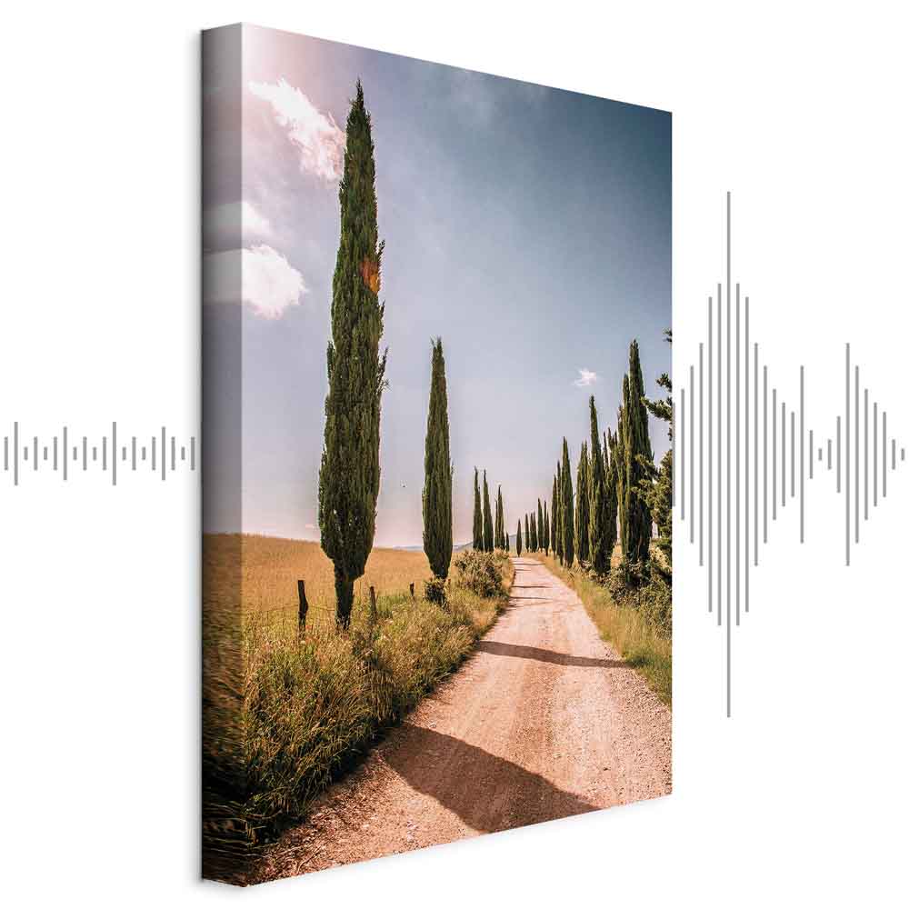 Italian Cypress Trees Landscape Canvas Print