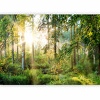 Untamed Forest Landscape Wall Mural