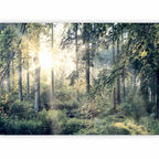 Forest Trees Landscape Wall Mural