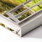 Forest River Window Landscape Canvas Print