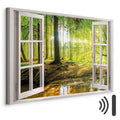 Forest River Window Landscape Canvas Print