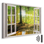 Forest River Window Landscape Canvas Print